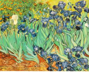 Iris, Van Gogh, 1889