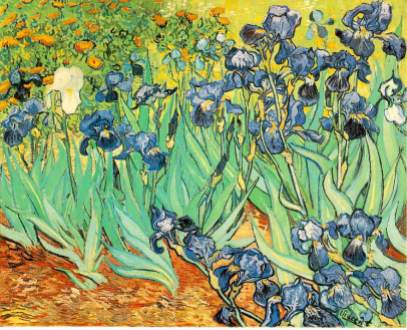 Iris, Van Gogh, 1889